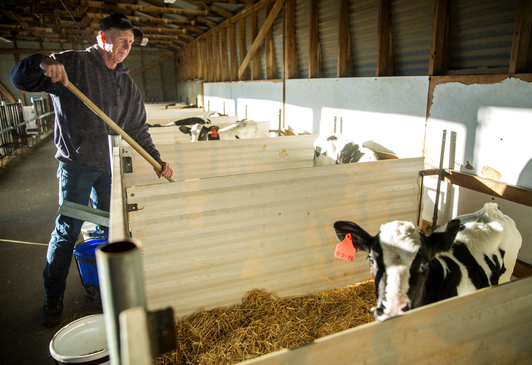 Dairy farm